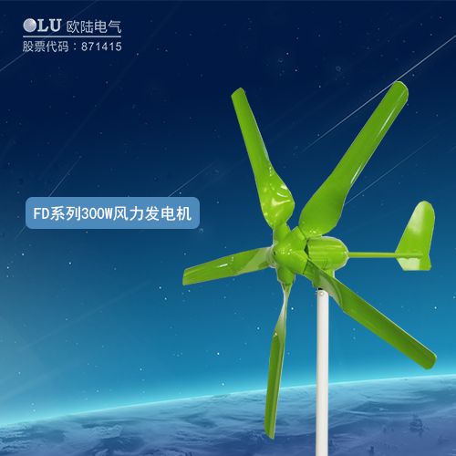 FD系列300W風(fēng)力發(fā)電機(jī)