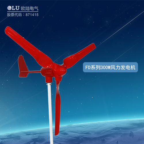 FD系列300W風(fēng)力發(fā)電機(jī)